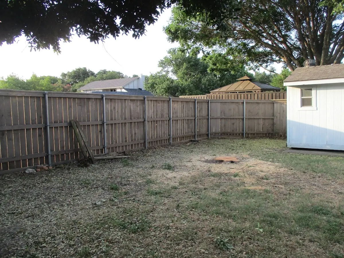 Cleared yard after professional tree removal in Dripping Springs